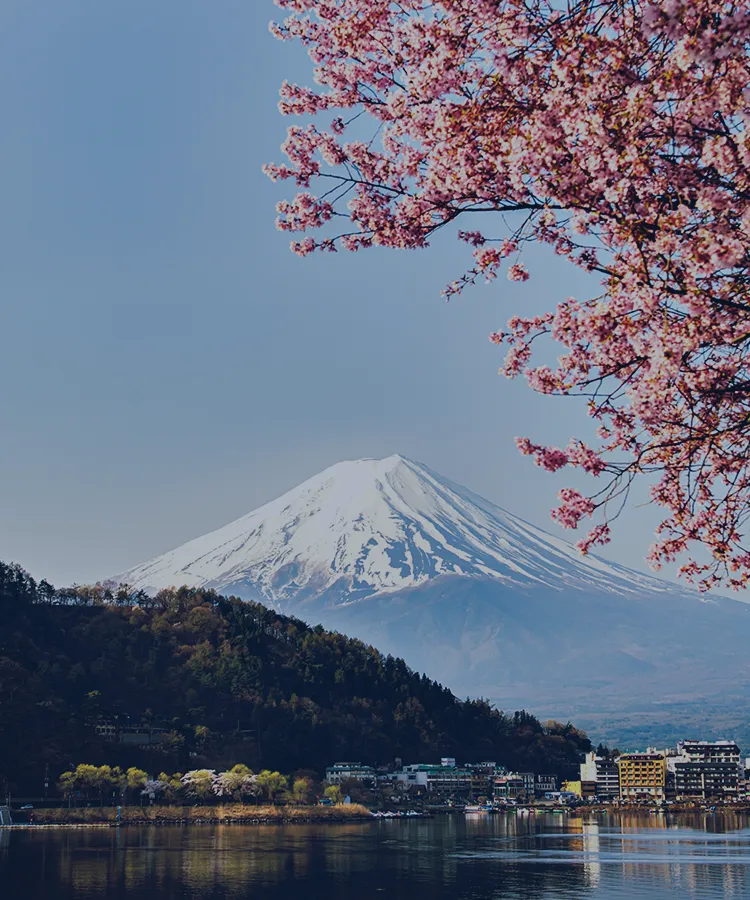 最新流行スポットから穴場のローカルエリアまで<area_name>在住のプライベートガイドと特別な旅をしよう。
