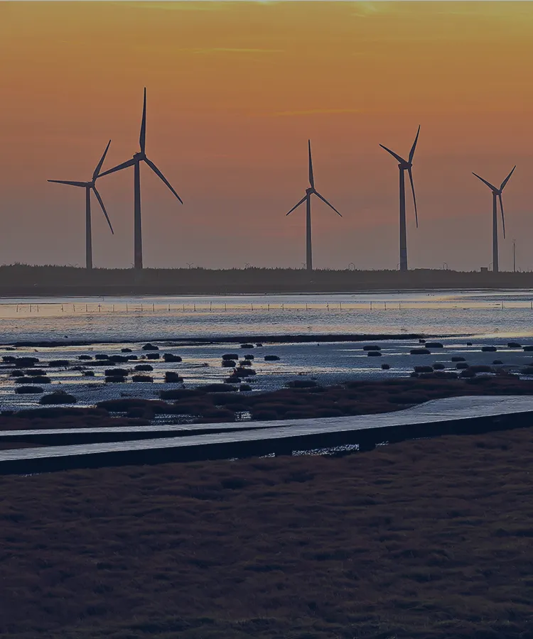 タイチュウ（台中）