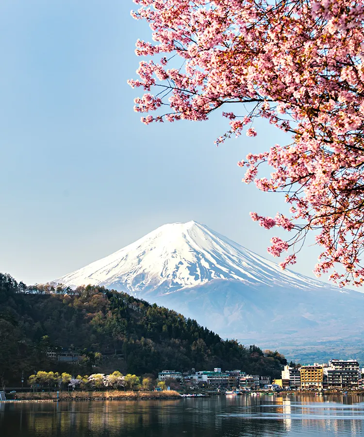 最新流行スポットから穴場のローカルエリアまで<area_name>在住のパートナーと特別な旅をしよう。